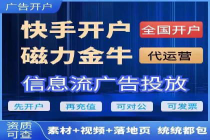 SEM运营公司案例解析：精准广告投放技巧